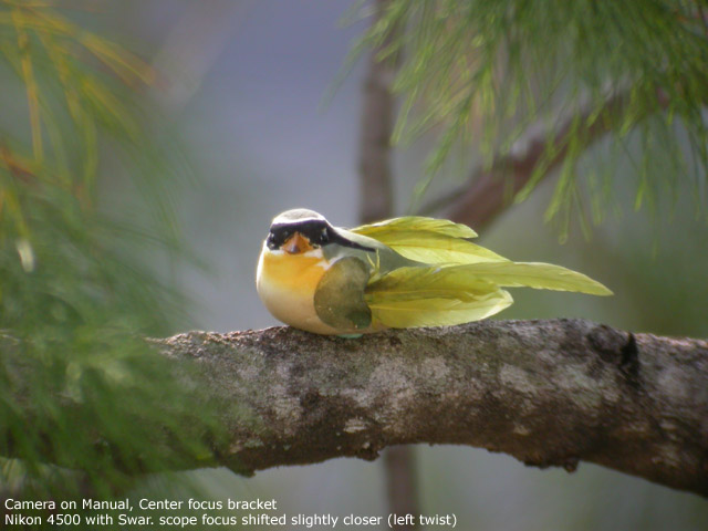 4500 focused to left